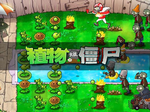 植物大战僵尸2010度版破解版经典版无广