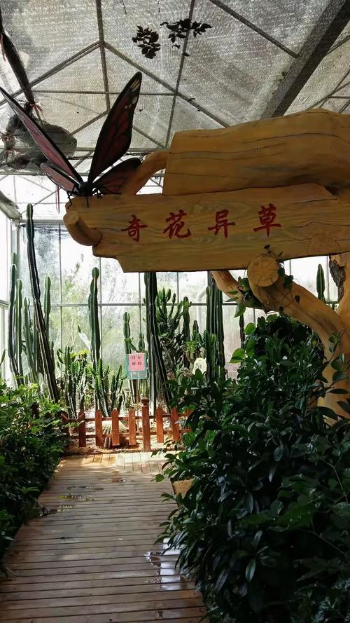 爱巢妈妈怎么去公园免费观看