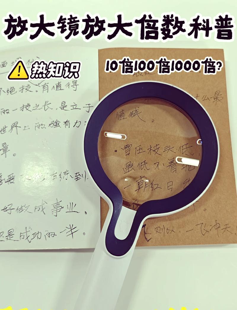 放大1000倍放大镜无广告无卡密