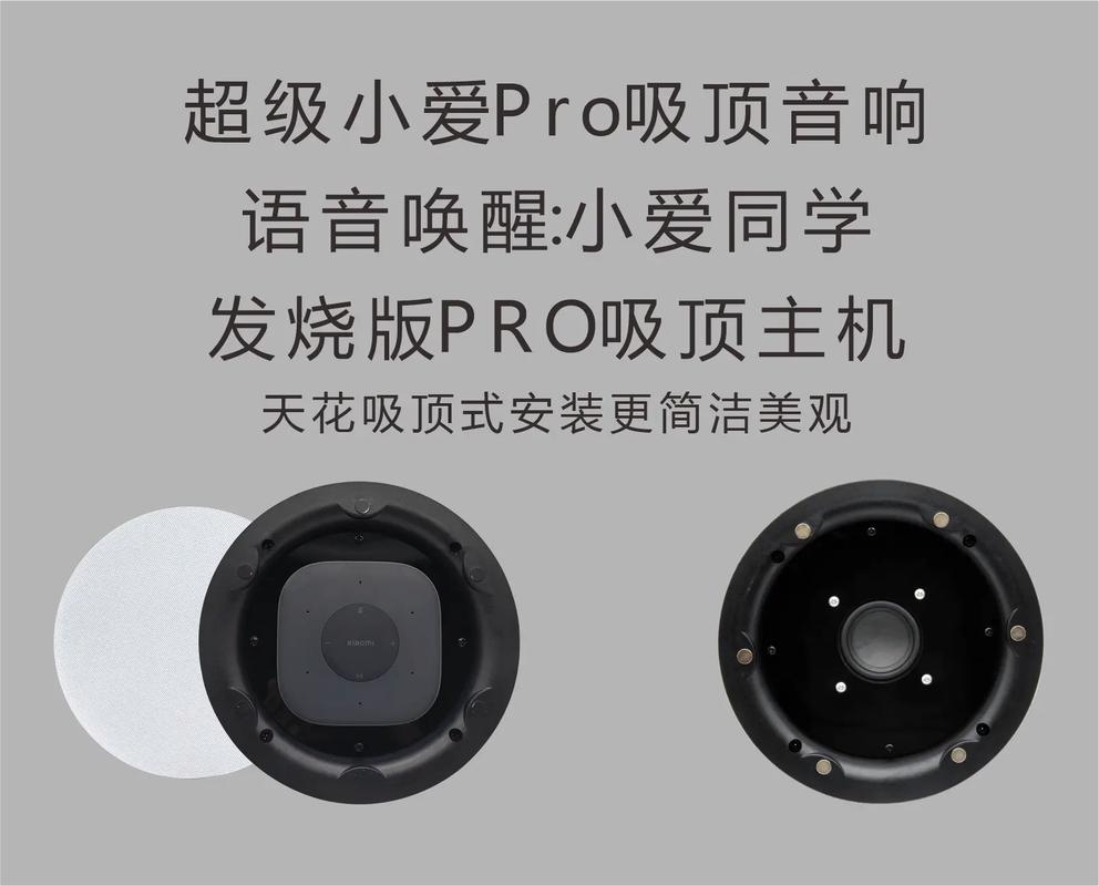 小爱同学语音唤醒机型破解版无限vip
