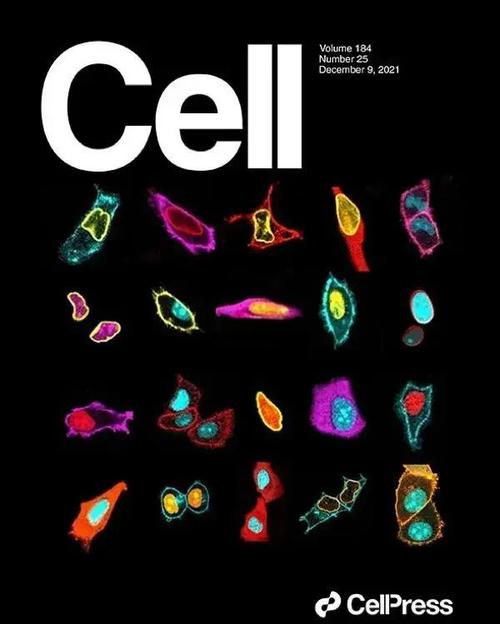 celltrack中文版下载