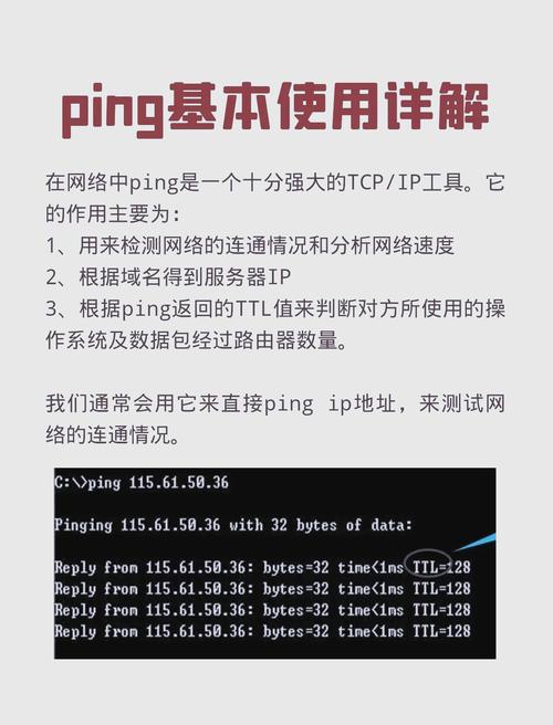 安卓手机Ping软件v117 最新版