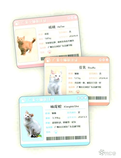 猫咪激活码