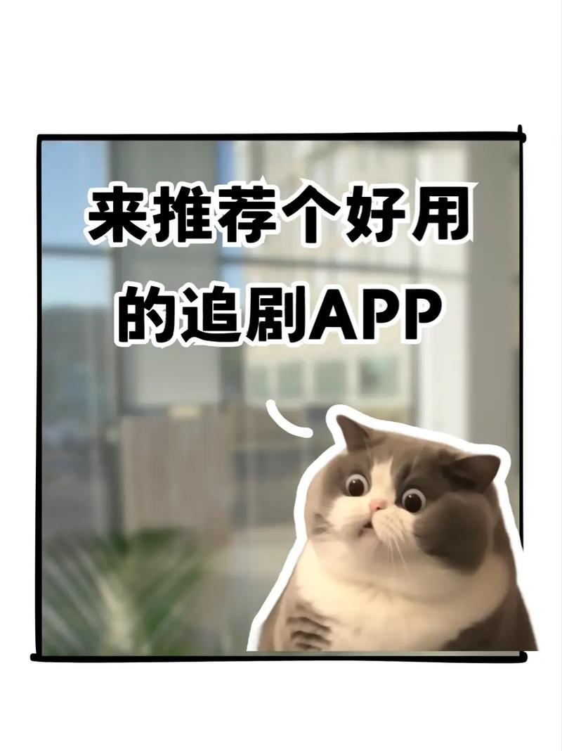 飞猫短剧app