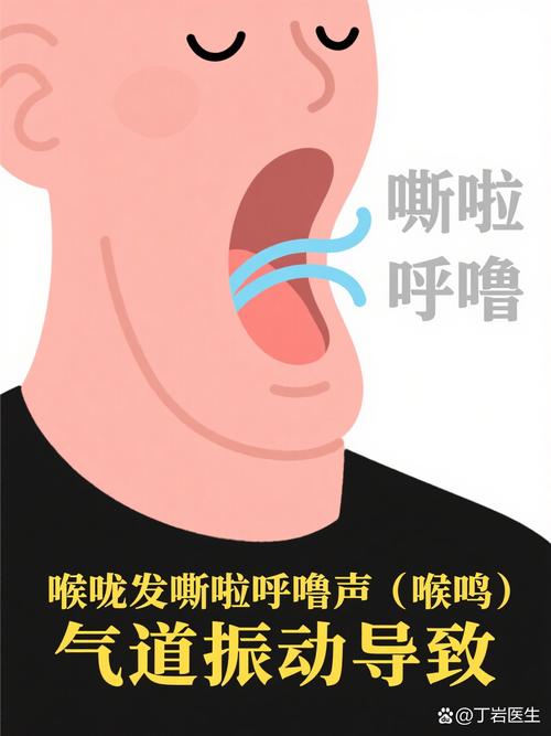 嘶哩嘶哩s站正经典版无广告