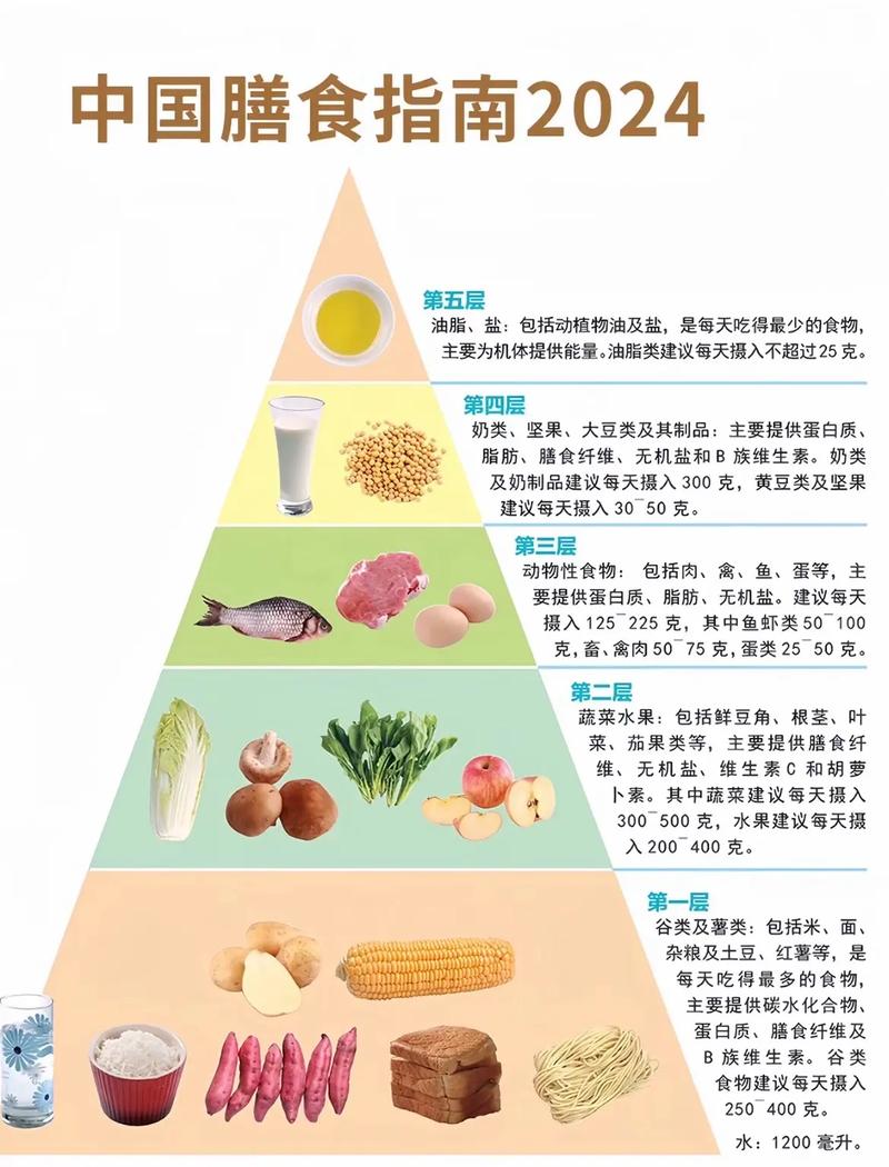 中国居民膳食指南2022版直装版