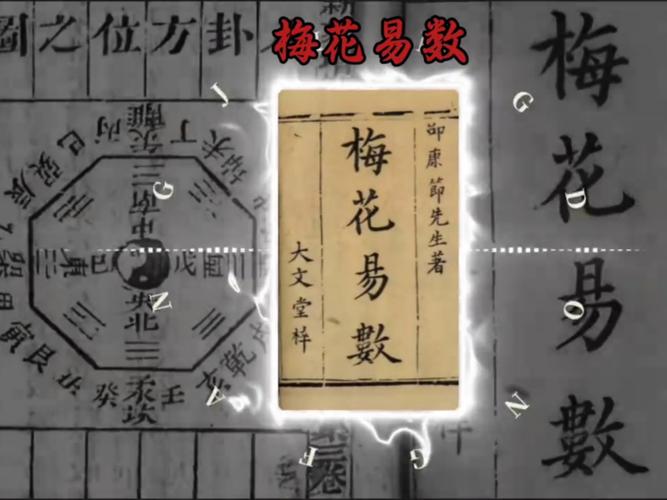 孔令伟梅花易数
