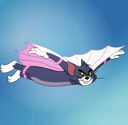 192·16801飞猫
