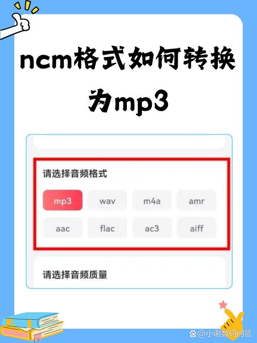 NCM转换器下载无限制永久免费