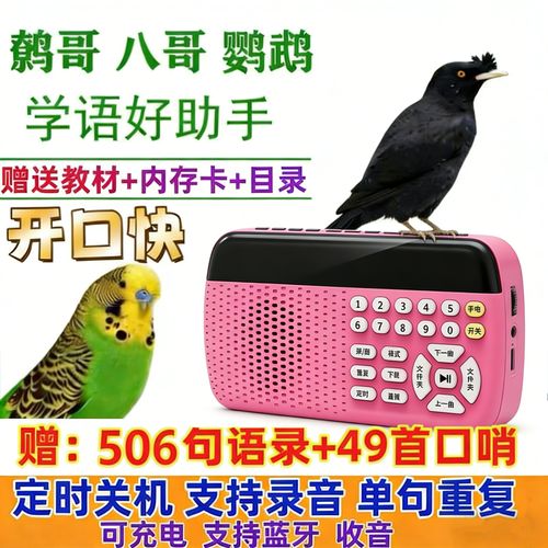 鹦鹉学说话复读