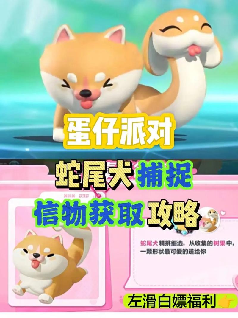 宠物捕捉系统3