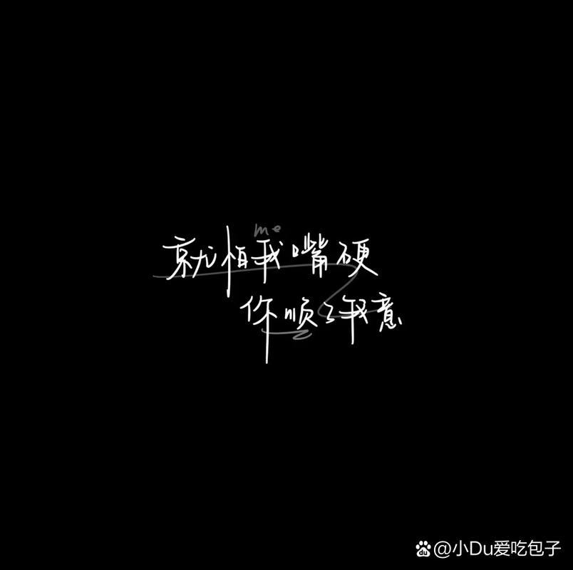 软件17岁破解版观看黑色版免墙版电视版
