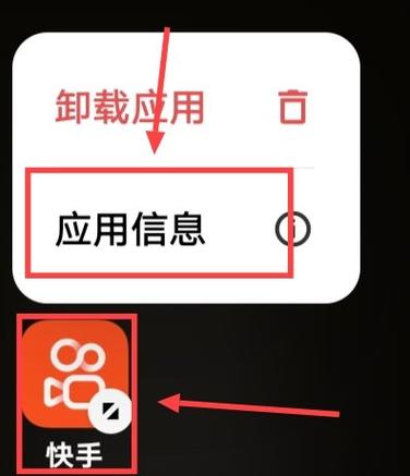 快手作品恢复器轻量版