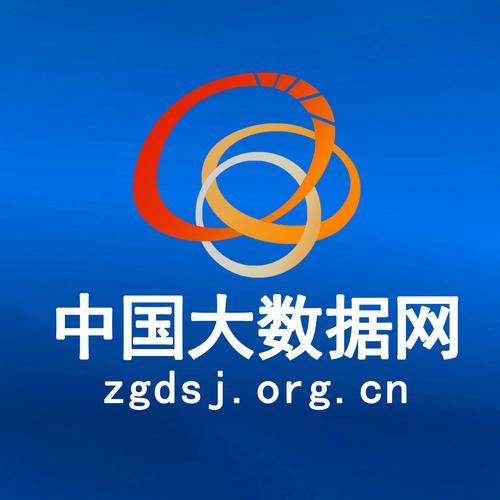 中国大数据平台修改版无广告手机端原版