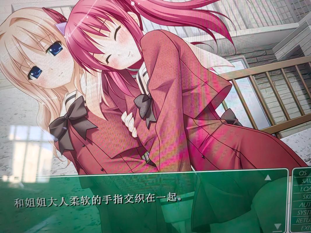 galgame花吻直装安装包通用版