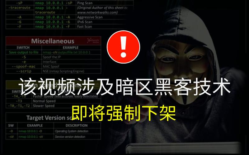 网暗禁区免费版怎么用