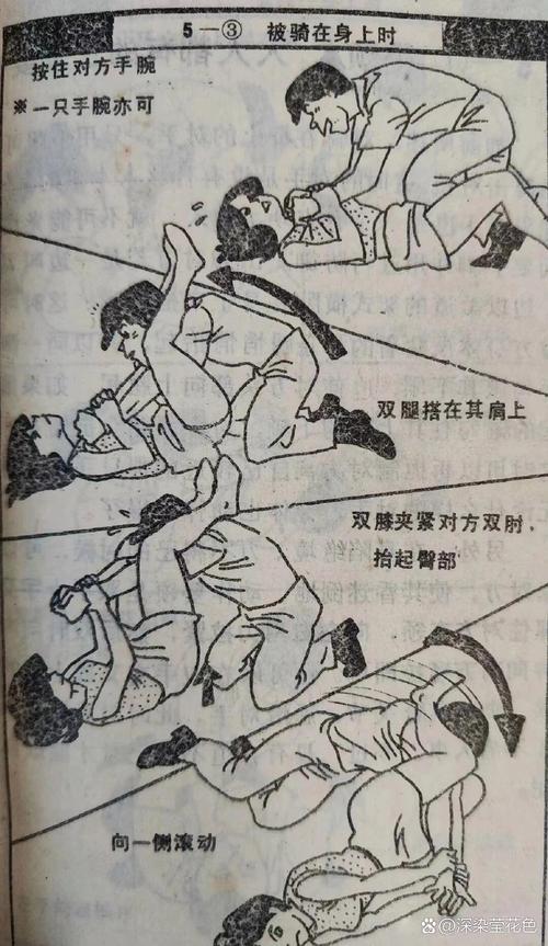 自由侵犯与角色全解锁版