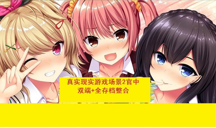 真实动漫情境体验2全cg存档安装到手机无收费