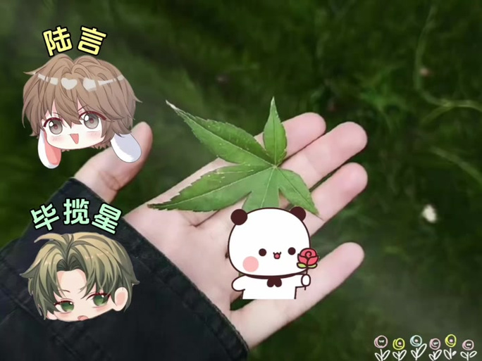 《宿舍》广播剧六月听书网