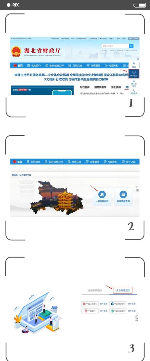 湖北省非税缴费入口