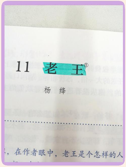 老王最新版230正版