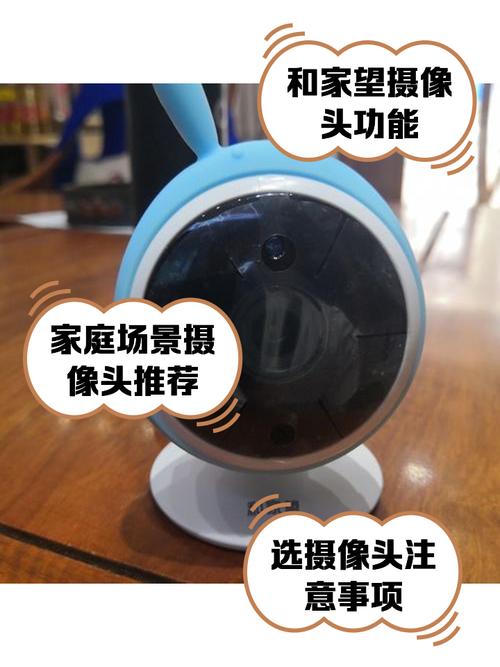 和家望守护版免广告版