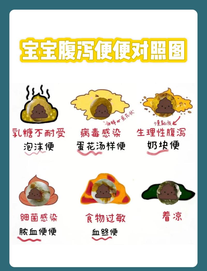 关于拉肚子的小