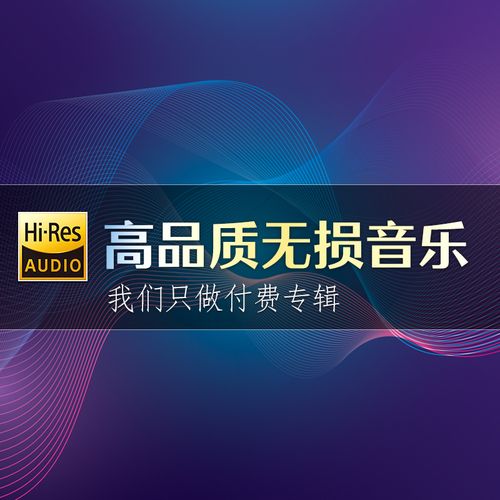 dsd歌曲下载移动端