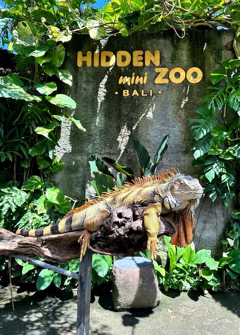 hiddeno