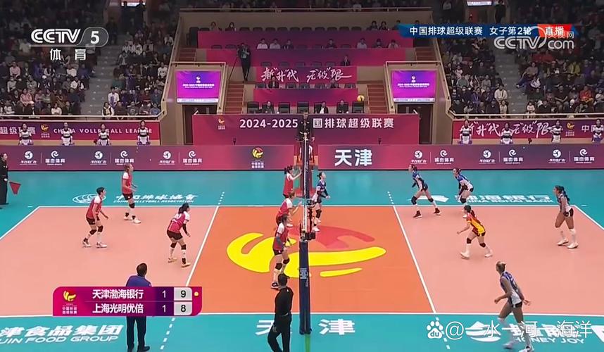 中国排球直播在线观看