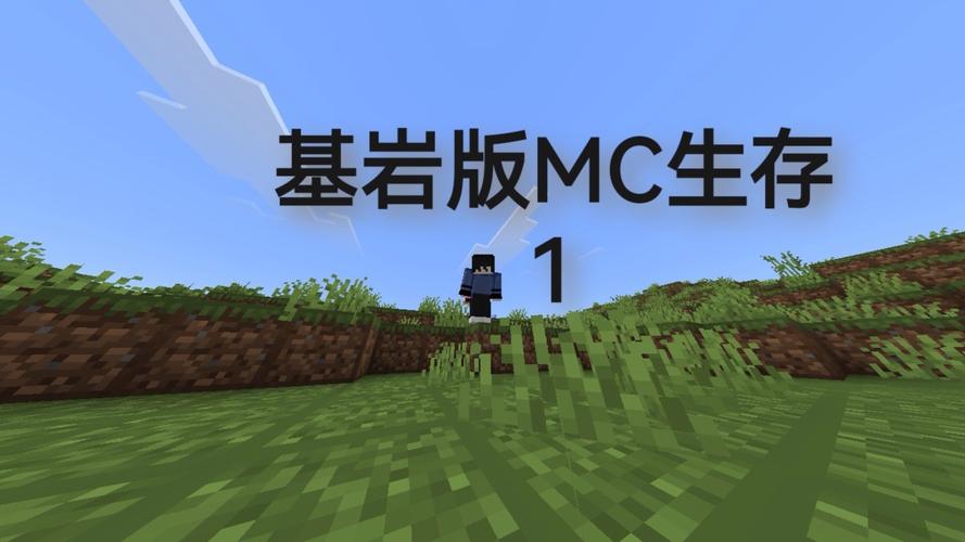 基岩版1201免费vip版