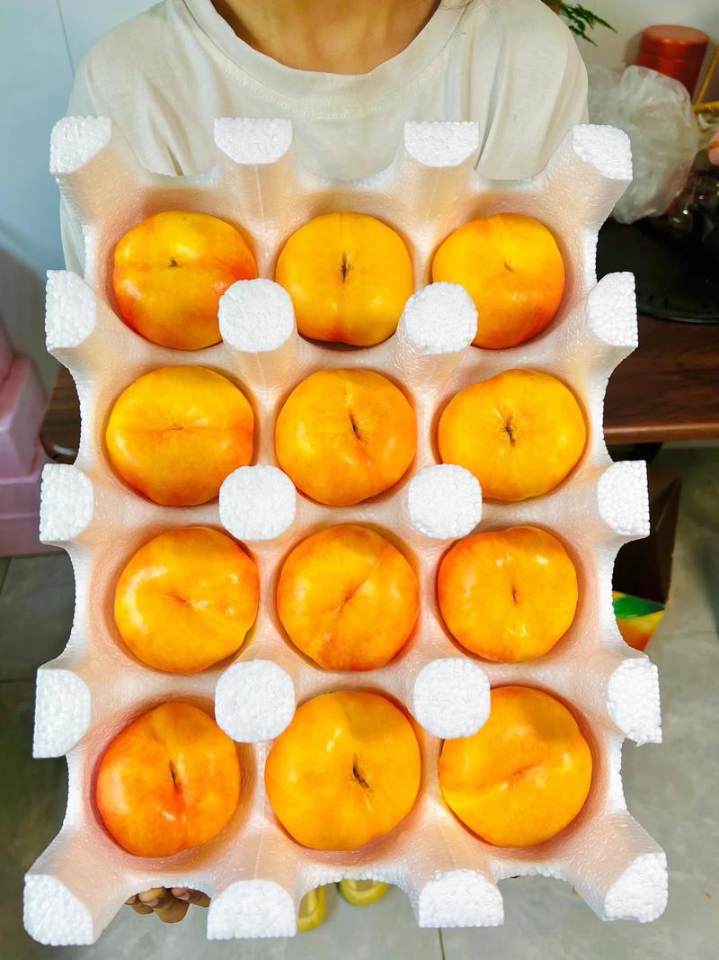 黄油桃子移植款纸巾盒免费高清影视
