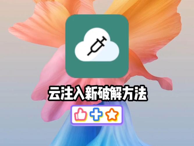 云注入卡密破解专业版