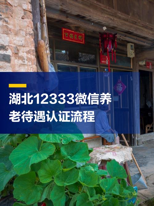 湖北12333养老认证下载