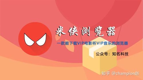 米侠影视371官方下载入口