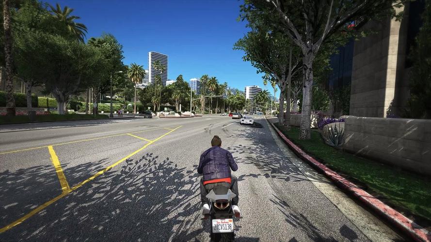 侠盗飞车5 侠盗猎车手5 gta5mod