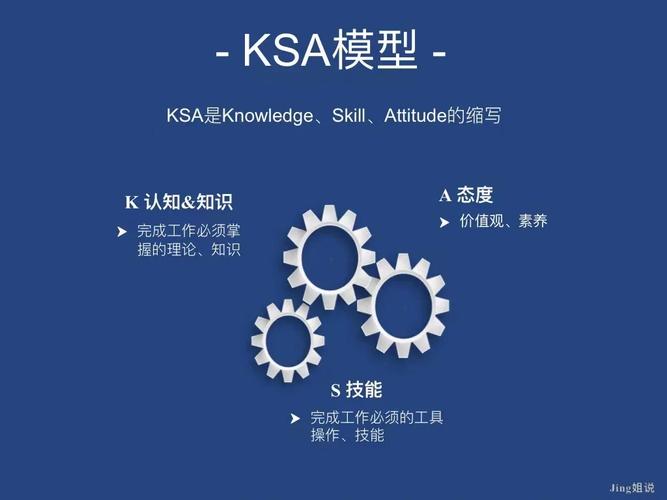 ks tips内置会员