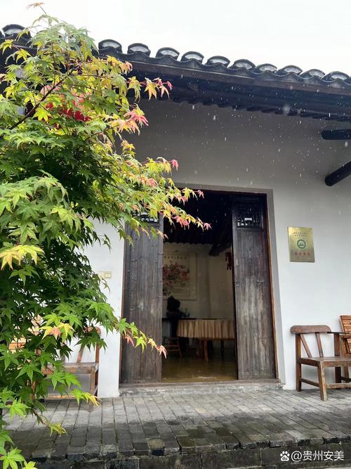 扫文小院手机版