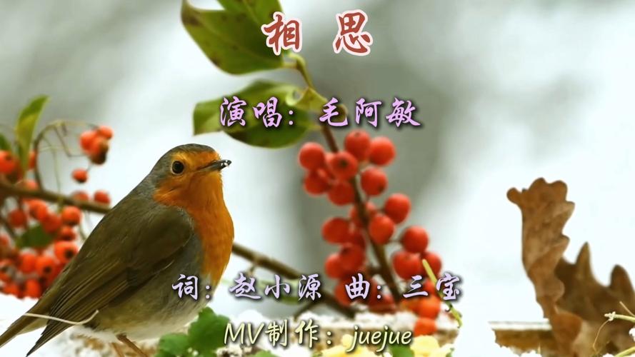 相思mp3下载百度云盘2022免费版