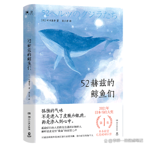鲸看看v1919