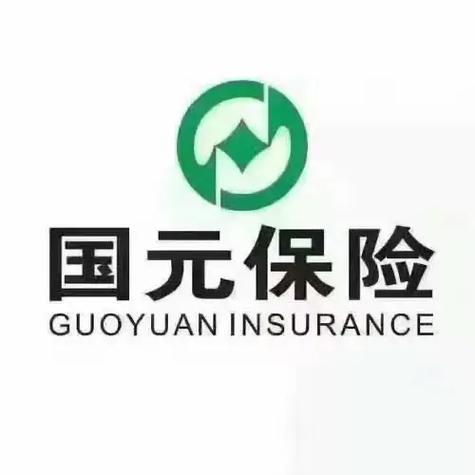 国元保险app无限能量黑色版免墙版