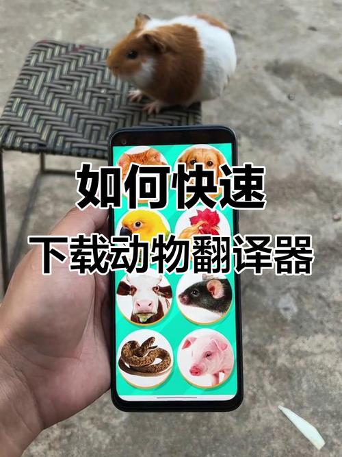 动物翻译器免费版不需要vip永久免费版