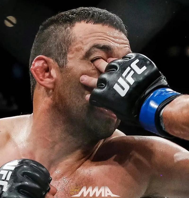 ufc比赛的