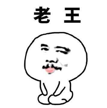老王最新包22