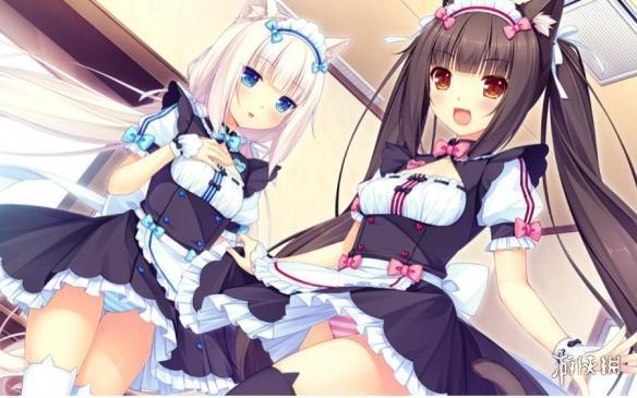 猫娘拔萝卜是什么