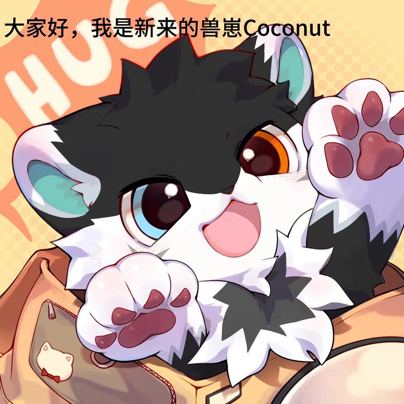 福瑞兽丁丁