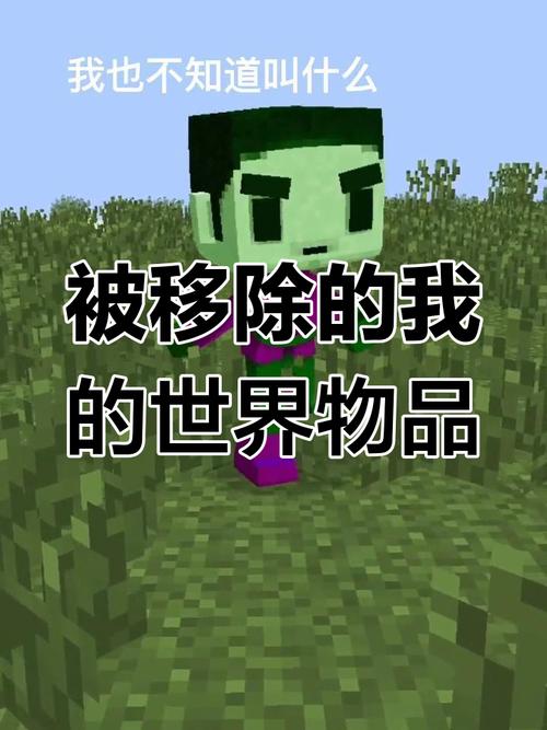我的世界清除掉