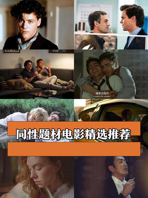 bilibili同志短片免费版
