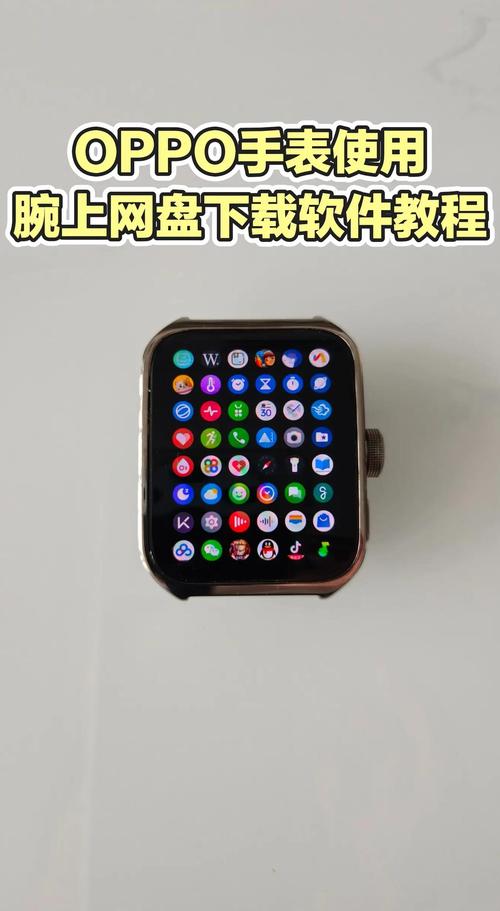 OPPO手表腕上浏览器修改版最新版