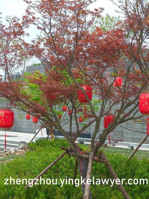 中同社区 永远的家园